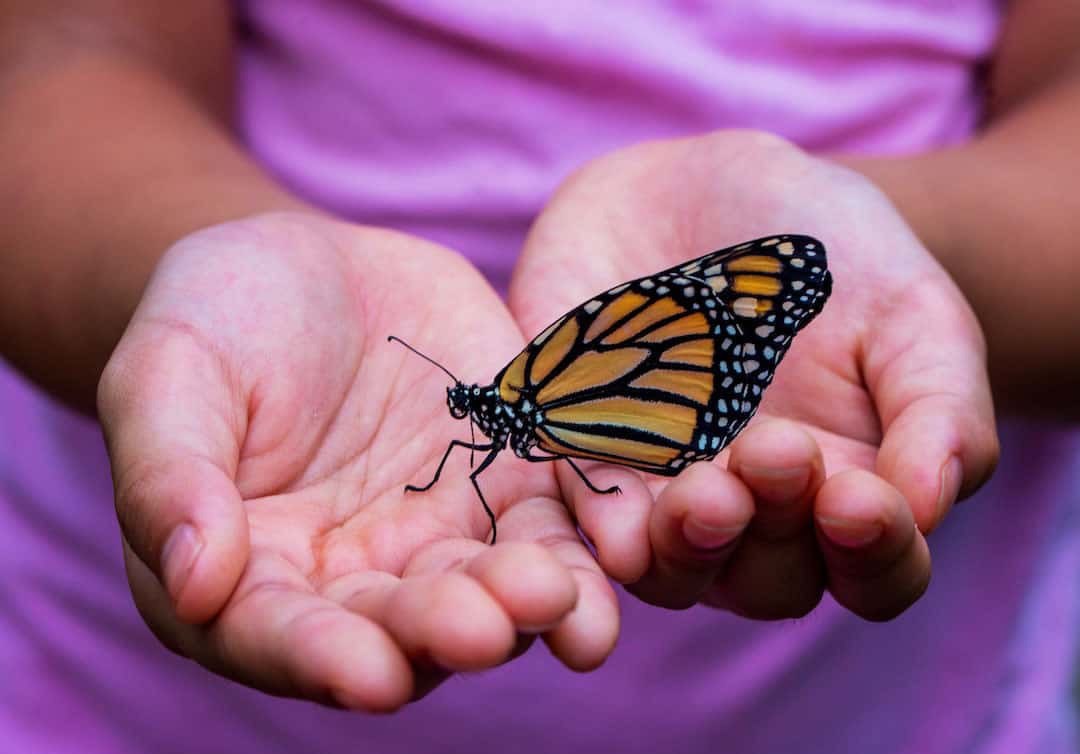 Functional Medicine in 2024