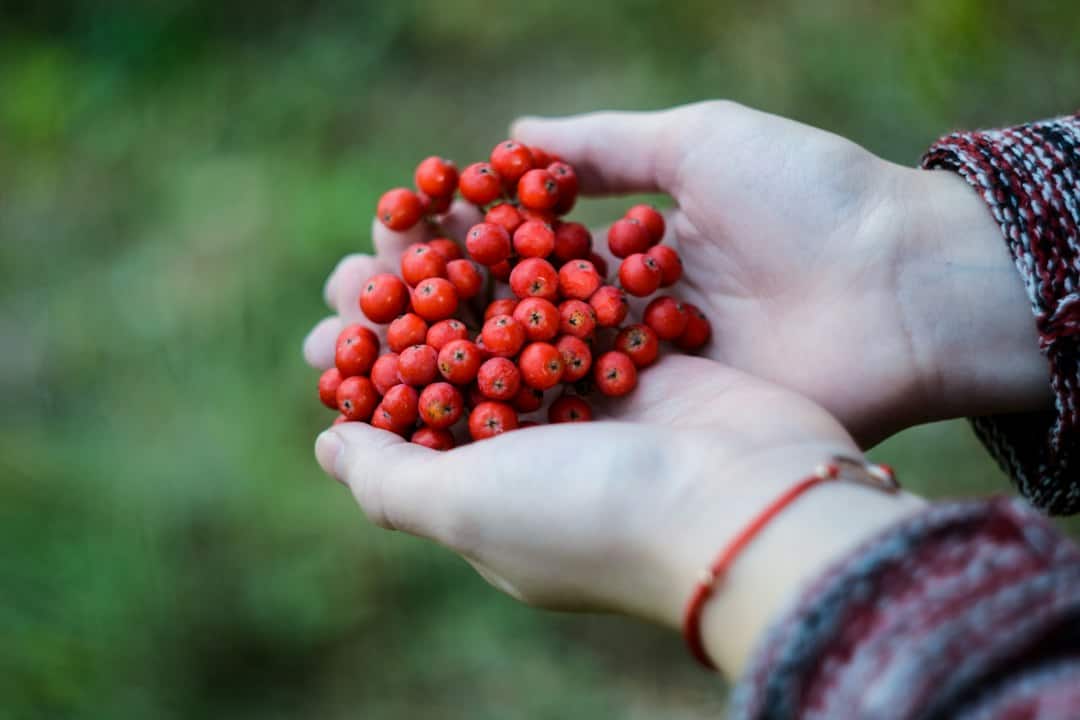 The Power of Functional Medicine